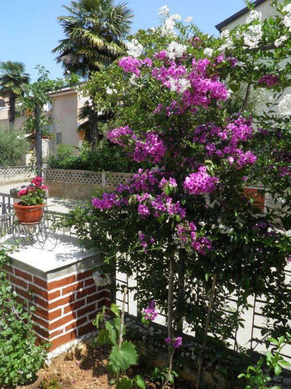 Sendi Apartment โปเรช ภายนอก รูปภาพ